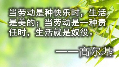对感悟糊口的名言警语