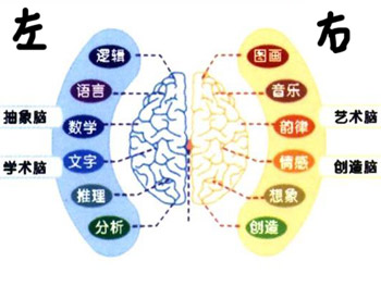 右脑开辟