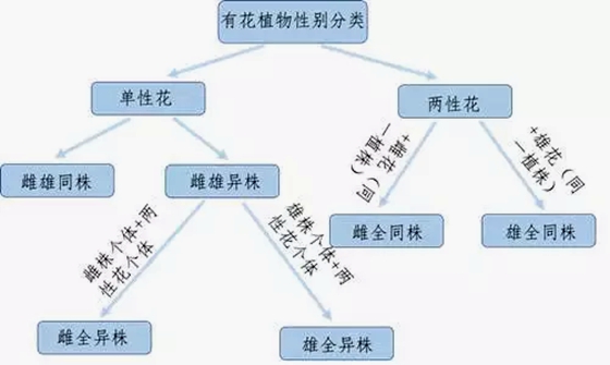 动物有性别吗,怎样辨别动物的牝牡