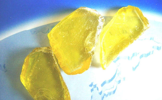 为甚么松树会产生松脂