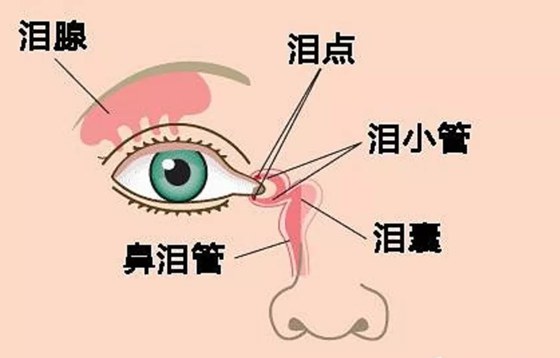 人的眼泪为甚么是咸的,眼泪中的咸味是那里来的