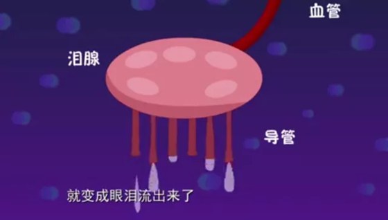 人的眼泪为甚么是咸的,眼泪中的咸味是那里来的