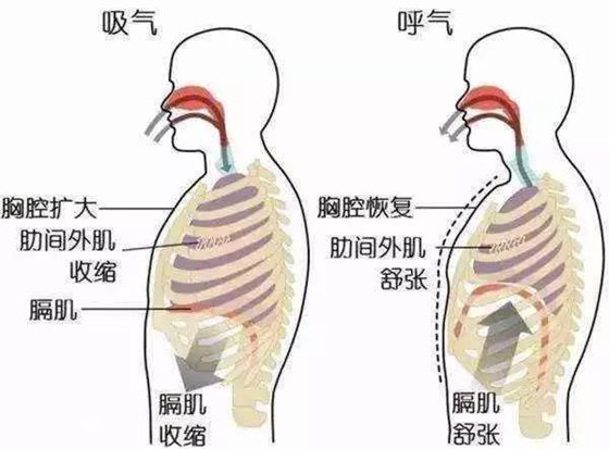 报酬甚么会岔气,岔气了怎样办