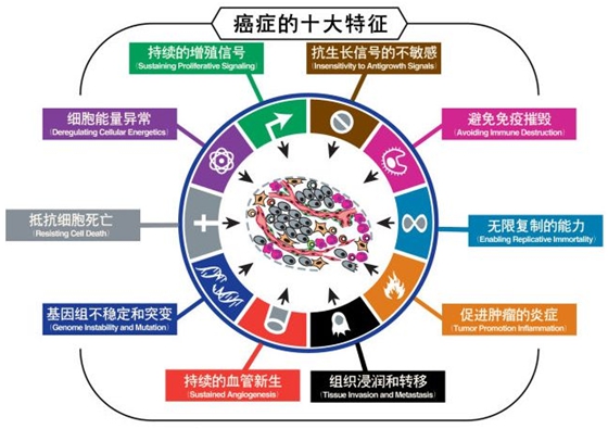 为甚么癌症治不好,为甚么癌症不能治愈
