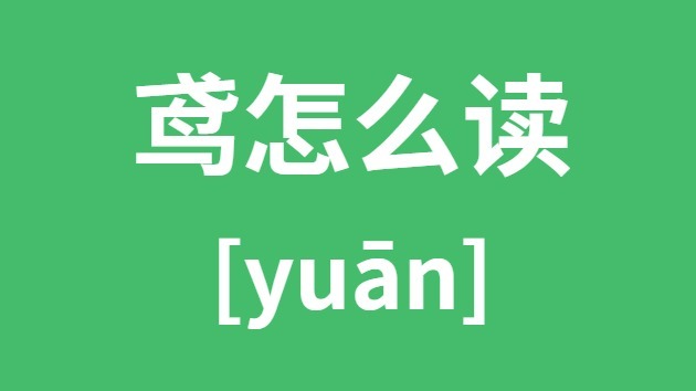 鸢怎样读