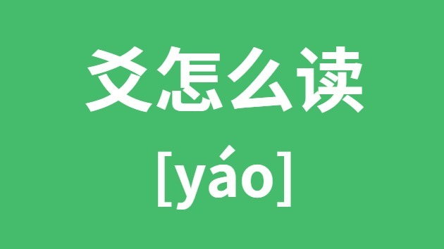 爻怎样读