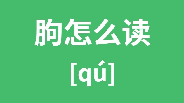 朐怎样读