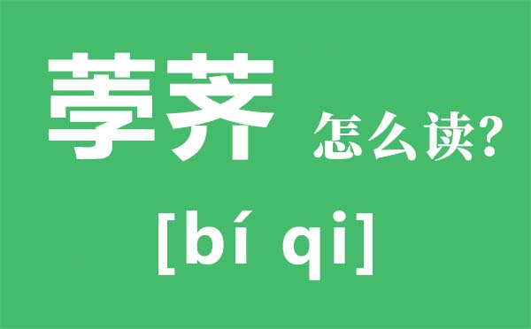 荸荠如何读,荸荠是甚么,荸荠如何吃,荸荠的功能与感化