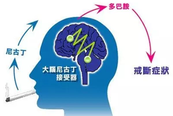 为甚么抽烟会上瘾,抽烟上瘾怎样戒掉,戒烟9个小妙招送给你