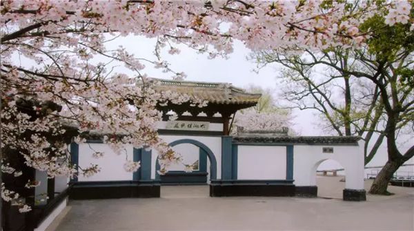 鼋头渚怎样读拼音是甚么,无锡鼋头渚是甚么处所