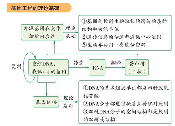 为甚么基因工程也叫遗传工程,甚么是基因工程