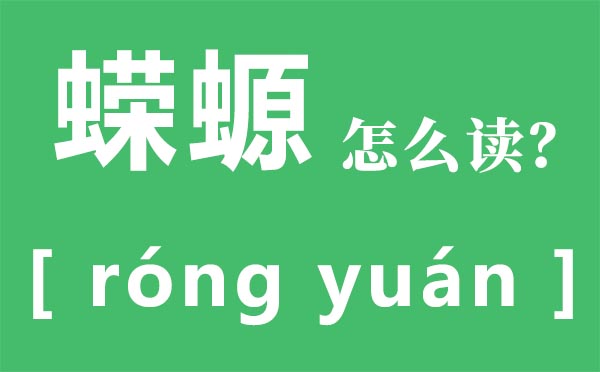蝾螈怎样读,蝾螈有毒吗,蝾螈吃甚么