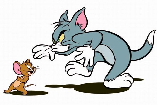 猫为甚么要吃老鼠,猫吃老鼠的由来