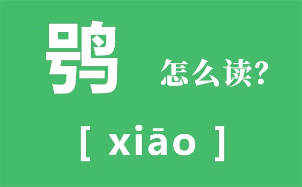 鸮怎样读,鸮的拼音,鸮字是甚么意义