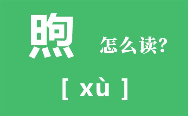 煦怎样读,煦的拼音,煦字是甚么意义
