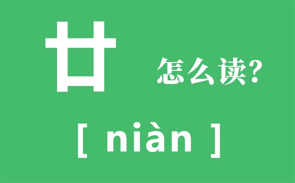 廿怎样读,廿表现几多,廿是甚么意义