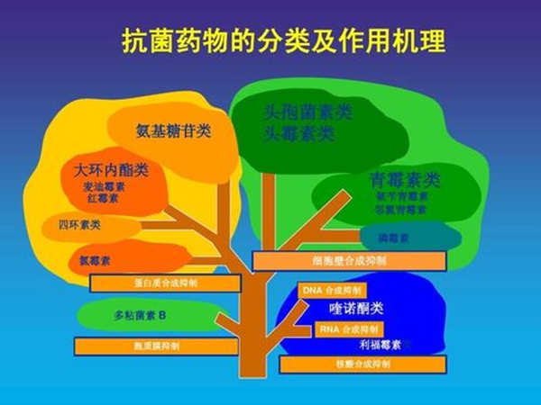 为甚么要慎用抗生素,不能滥用抗生素的缘由