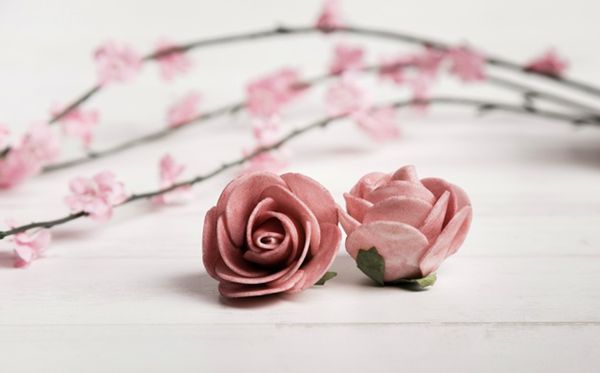 玫瑰的花语是甚么,玫瑰花的花语大全