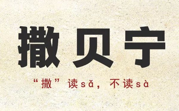 撒的准确读音