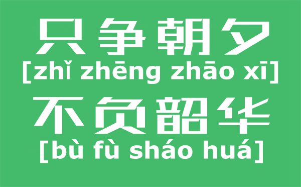 只争旦夕不负光阴工夫是甚么意义,只争旦夕不负光阴工夫的寄义