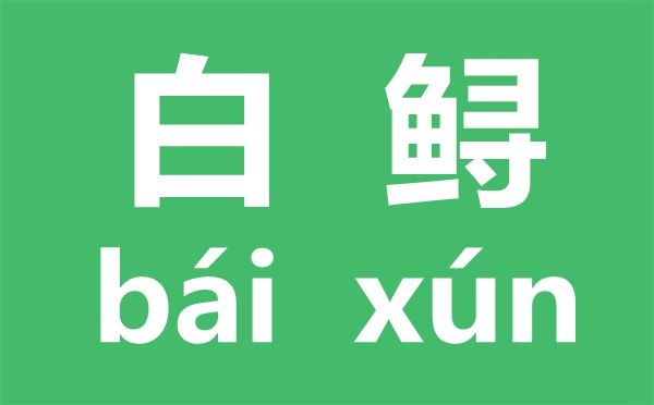 白鲟怎样读,白鲟是甚么鱼,长江白鲟为甚么灭尽