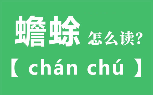 蟾蜍怎样读,蟾蜍念甚么,蟾蜍的拼音