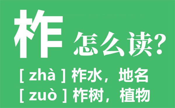 柞水的柞如何读,柞水的读音,柞水木耳如何样