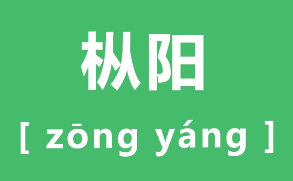 枞阳怎样读,枞阳的拼音是甚么,枞阳县属于哪一个市