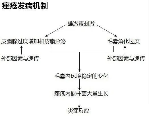 痤疮怎样读,痤疮的拼音是甚么,痤疮的医治方式