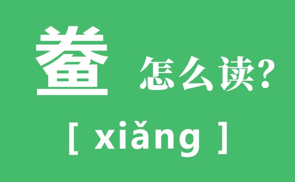鲞怎样读,鲞的读音,黄鱼鲞的做法大全