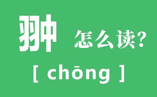 翀怎样读,翀的读音,孛术鲁翀原文及翻译