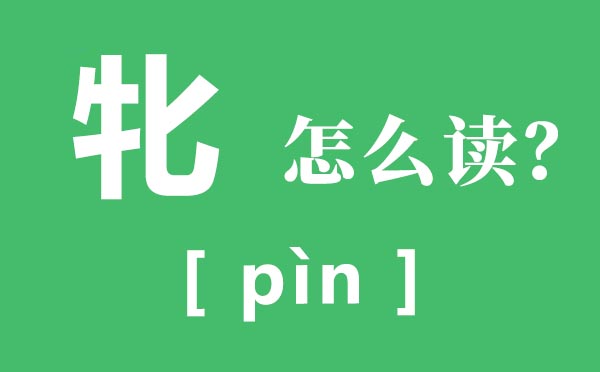 牝怎样读,牝的读音,牝鸡司晨是甚么意义