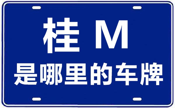 桂M是那里的车商标,河池的车商标是桂甚么