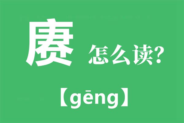 赓怎样读,赓的拼音,赓的意义是甚么