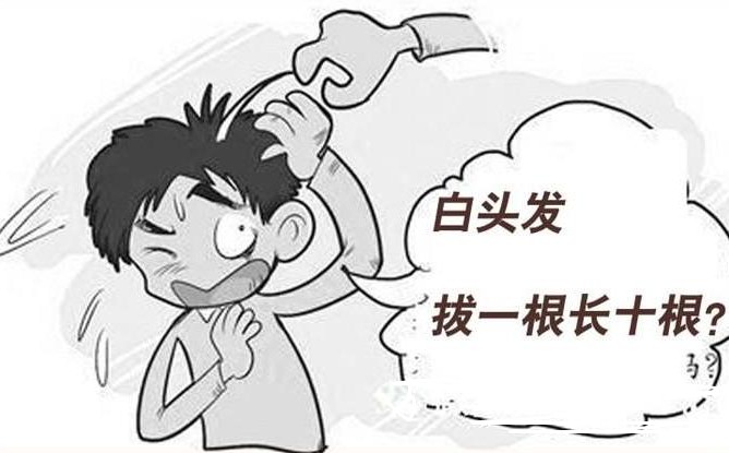 蚂蚁庄园本日谜底3.1