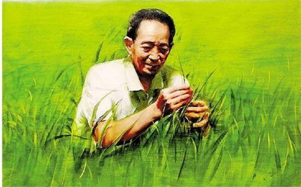 给袁隆平爷爷的一封信800字作文师长教员范文