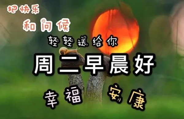 20220222是甚么日子有甚么寄义,20220222合适领证成婚吗,正月二十二礼拜二