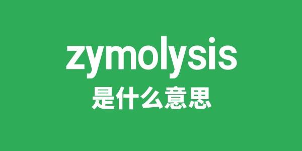 zymolysis是甚么意义