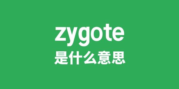 zygote是甚么意义