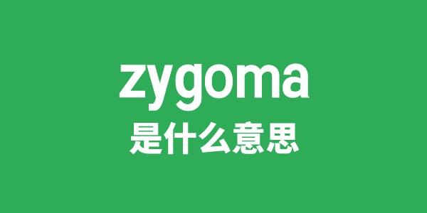zygoma是甚么意义