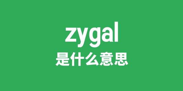 zygal是甚么意义