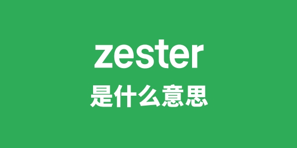 zester是甚么意义