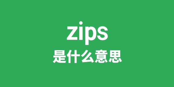 zips是甚么意义