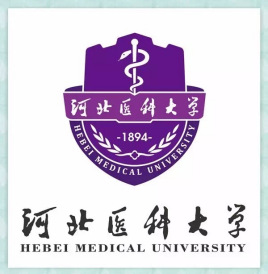 河北医科大学临床学院登科分数线2022是几多分（含2021-2022积年）