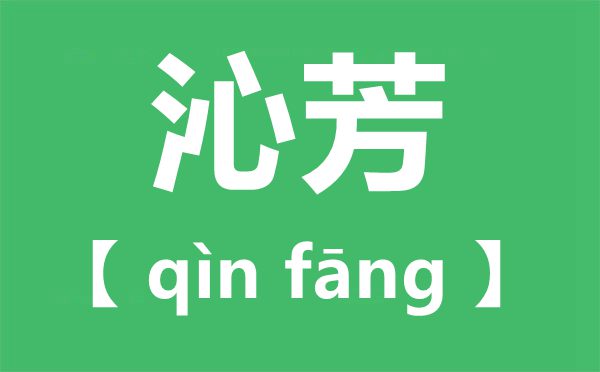 沁芳的意义是甚么,红楼梦中的“沁芳”幸亏那里