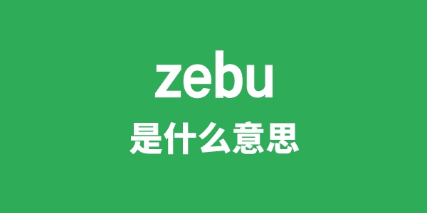zebu是甚么意义