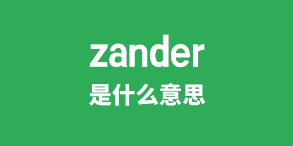 zander是甚么意义