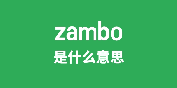 zambo是甚么意义