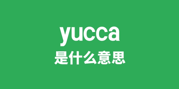 yucca是甚么意义