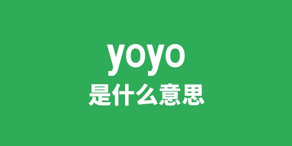 yoyo是甚么意义